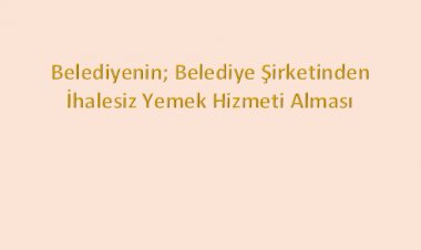 Sayıştay: Büyükşehir Belediyesi’nin Yemek Hizmeti Alımını İhalesiz Olarak Belediye Şirketinden Gerçekleştirilmiş Olmasının Kamu Zararı Oluşturmadığı